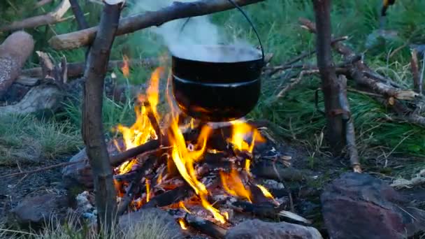 Cuisiner sur un feu de camp dans les montagnes — Video