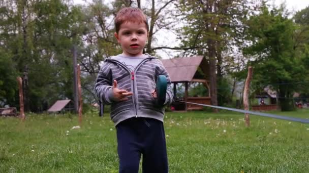 Petit garçon court dans un champ vert avec son chien de compagnie — Video