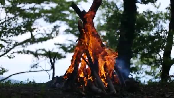 Сжигающий костёр в горах — стоковое видео