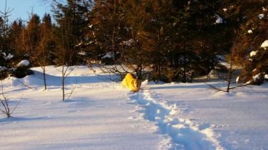 Kar üzerinden çalışan altın geri almak. Ağır çekim.