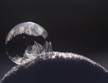 Karda donmuş kabarcık