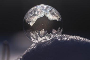 Karda donmuş kabarcık