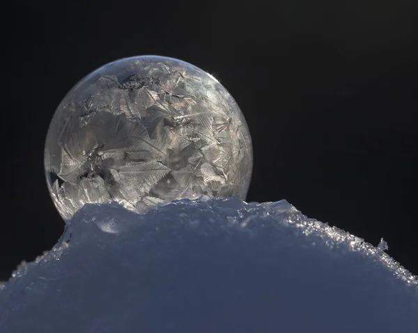 Karda donmuş kabarcık — Stok fotoğraf