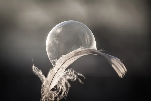 Gün batımı ışıkta frozen Bubble fether üzerinde — Stok fotoğraf