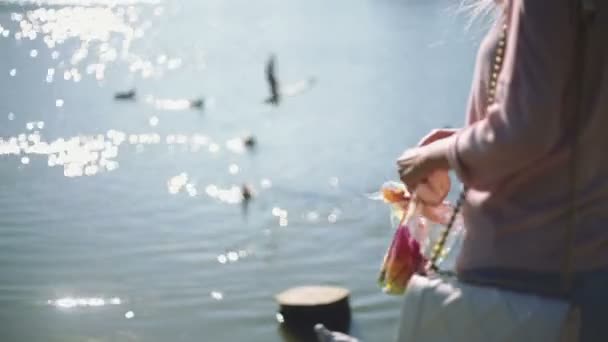 Bir kadın bir kuş parkta beslenir. — Stok video