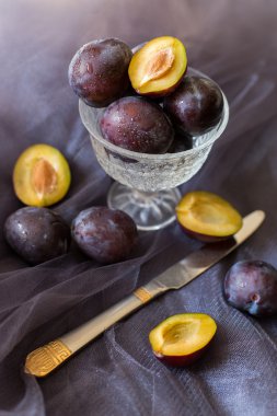 Erik bir cam vazo içinde karanlık bir arka plan üzerinde