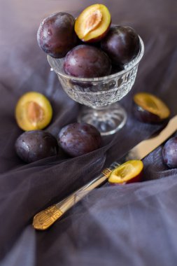 Erik bir cam vazo içinde karanlık bir arka plan üzerinde