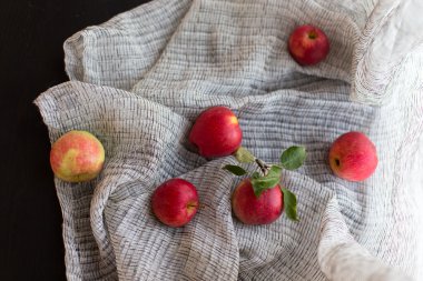 karanlık tablo kırmızı meyve elma
