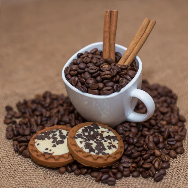 Kaffeebohnen Zimt Cookie weiße Tasse und Untertasse — Stockfoto