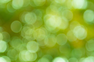 Ağaç kökenli doğal bokeh.