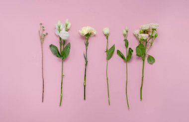 Çiçekçi kadın çiçek buketi yapıyor. Adım adım icraat. Üst yatay görünüm telif alanı soyut pembe arkaplan