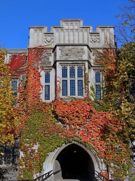 Gothic Style Stone College Building Covered Ivy Brilliant Fall Colors — Stock Photo, Image