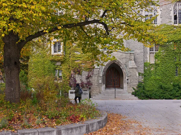 University Campus Vine Covered Building — Stock Photo, Image