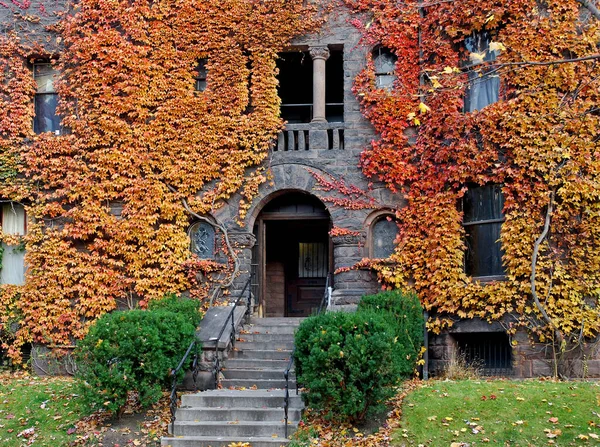 Παλιό Κτίριο Κολέγιο Φθινοπωρινό Κισσό New Haven 2008 — Φωτογραφία Αρχείου