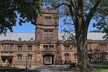  Princeton Üniversitesi 'nin geniş kampüsünde Pyne Hall gibi zarif taş kaplı binalar ve kırmızımsı kumtaşı oymaları var..