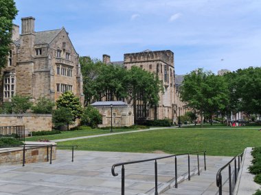 Üniversite kampüsünde bir grup öğrenci ağacın altında oturuyor.