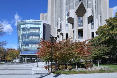 Toronto Üniversitesi, Robarts kütüphanesi, sonbahar yapraklarıyla