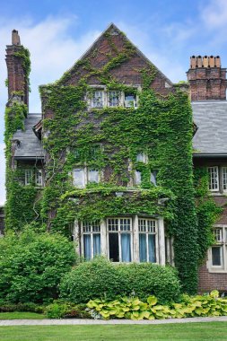 Sarmaşık, Toronto Hukuk Fakültesi Falconer Hall binası.