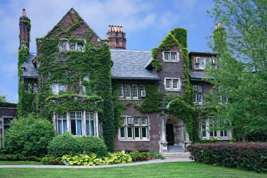 Sarmaşık, Toronto Hukuk Fakültesi Falconer Hall binası.