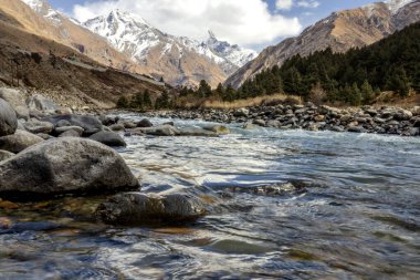 Arkasında karla kaplı zirveler ve çam ormanları bulunan kayalık arazide akan berrak bir nehre sahip dağ manzarası, seyahat, macera, çevre, turizm ve doğa temaları için idealdir.