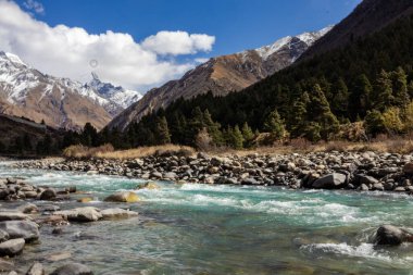 Arkasında karla kaplı zirveler ve çam ormanları bulunan kayalık arazide akan berrak bir nehre sahip dağ manzarası, seyahat, macera, çevre, turizm ve doğa temaları için idealdir.