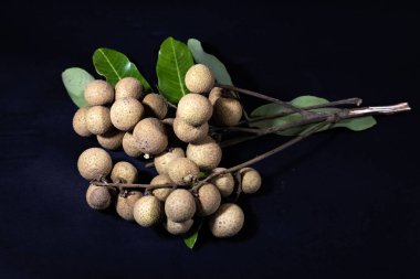 Taze yeşil yapraklı bir dalda, temiz bir siyah arka planda canlı kahverengi longan meyvesi kümesi.