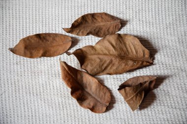 Kahverengi yapraklar beyaz örülmüş çuval bezi arkaplan, üst görünüm