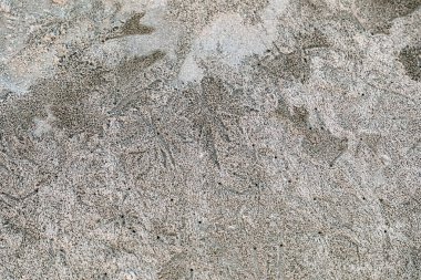 Kum dokusu. Beyaz kum. desenli arkaplan