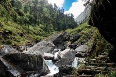 Himalaya dağları arasında şelale yeşil orman ve kayalarla dolu bir nehir..