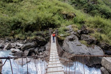 Kristal berrak nehrin üzerindeki ahşap asma köprü Himalaya ormanlarının vahşi doğasında bir yürüyüş yolunun parçasıdır.