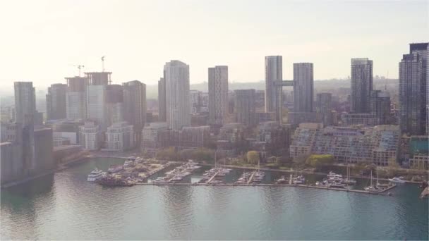 Toronto, Canada, Aérien - Le front de mer de Toronto vu depuis un hélicoptère pendant la journée — Video