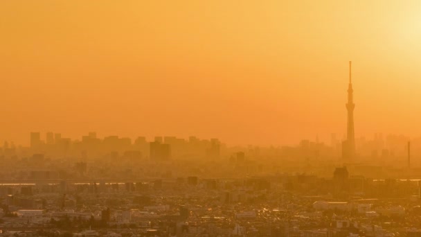 Tokio, Japan, Zeitraffer - Shinjukus Finanzviertel von Tokio und der Sky Tree Tower von Tag bis Nacht — Stockvideo