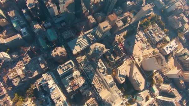 Toronto, Kanada, Video - Aerial bird eye view of the Torontos downtown — Stock video