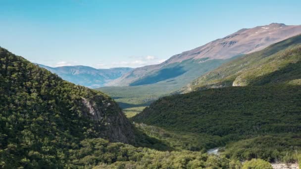 Torres del Paine, Şili, Timelapse - Parkın ormanında gündüz vakti — Stok video
