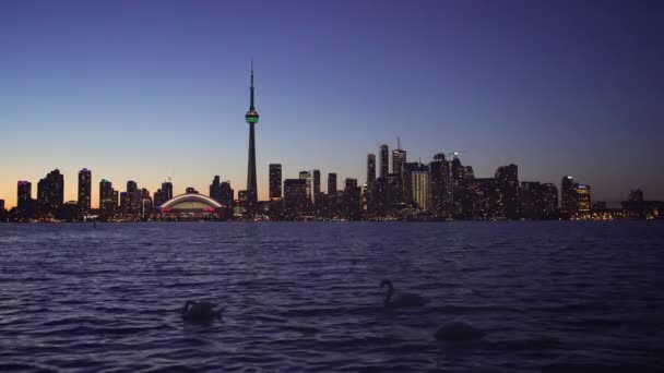 Toronto, Kanada, Video - Toronto Gece — Stok video