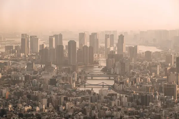 Południe Tokio widziane z wieży Skytree — Zdjęcie stockowe