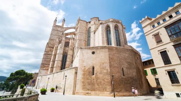 Palma de Mallorca España La Catedral Basílica de Santa Maria — Vídeos de Stock