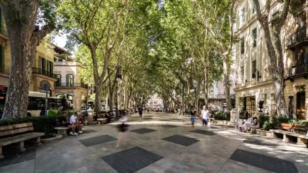 2021-07-10- Palma de Mallorca, Timelapse - De Passeig del Born in de oude stad — Stockvideo