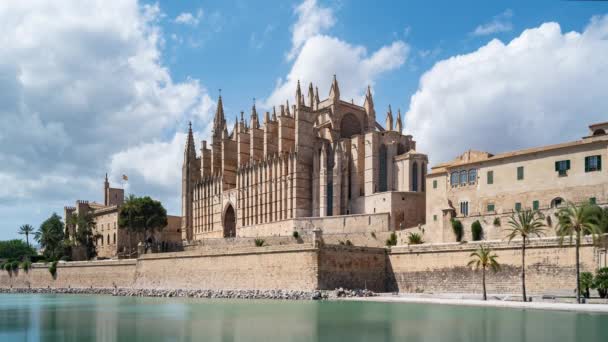 Palma de Majorque, Espagne, Timelapse - Le côté sud-est de la basilique Catedral — Video