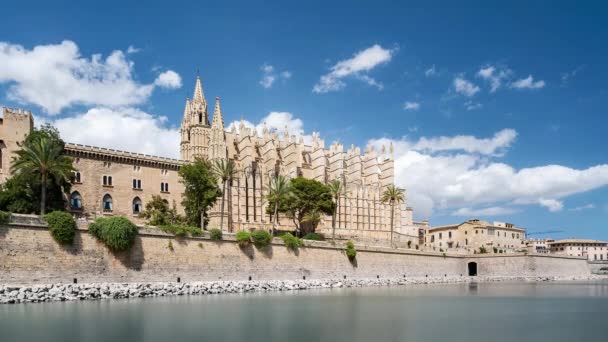 Palma de Mallorca, Spanyol, Timelapse Sisi selatan Basilika Catedral — Stok Video
