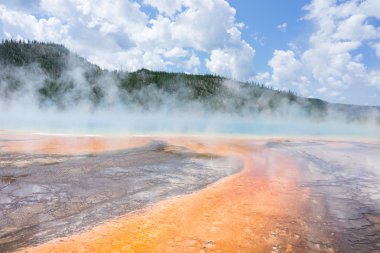 Sıcak jeotermal havuzu ve renkli bakteri Yellowstone Milli Parkı'nda Grand Prizmatik, Bahar, Wyoming, Amerika Birleşik Devletleri