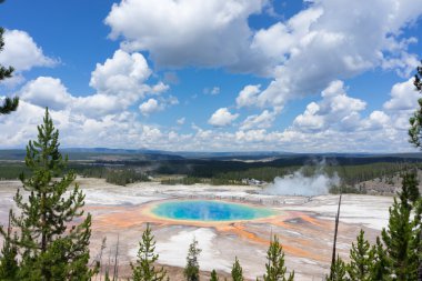 Sıcak jeotermal havuzu ve renkli bakteri Yellowstone Milli Parkı'nda Grand Prizmatik, Bahar, Wyoming, Amerika Birleşik Devletleri