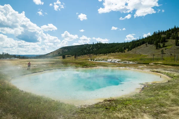 Geothermalbecken und bunte Bakterien im Yellowstone-Nationalpark an der prismatischen heißen Quelle, Wyoming, Vereinigte Staaten — Stockfoto