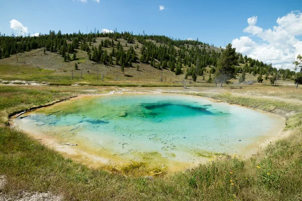 Geotermiska pooler och färgglada bakterier i Yellowstone National Park på Grand Prismatic varma våren, Wyoming, USA — Stockfoto