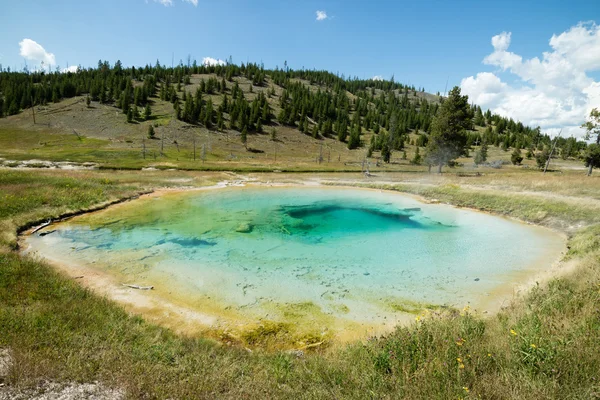 Geotermikus medence és a színes baktériumok a Yellowstone Nemzeti Parkban, a Grand prizma forró tavasz, Wyoming, Amerikai Egyesült Államok — Stock Fotó