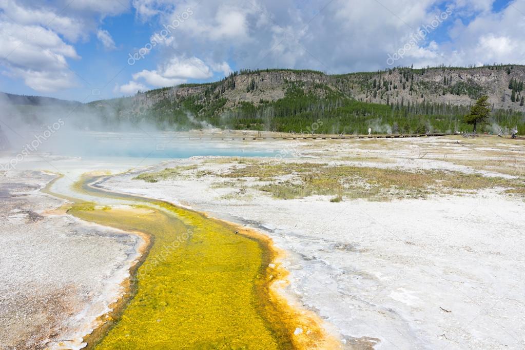 Geothermal pool and colourful bacteria in Yellowstone National Park at the Grand Prismatic hot spring, Wyoming, United States