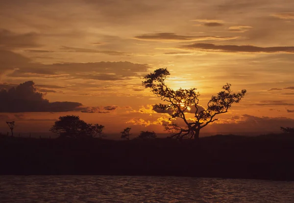 Bir yaz öğleden sonrasında güzel bir gün batımı