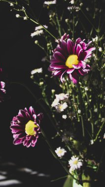 Bir hediye için güzel çiçekler.