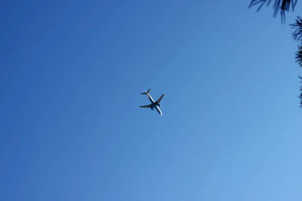 青い空の飛行機 高品質の写真 — ストック写真