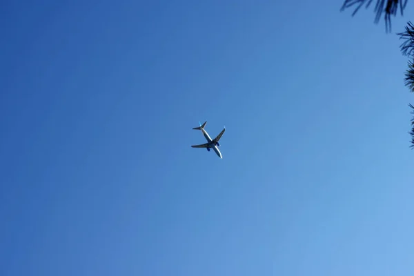 空に飛行機が — ストック写真